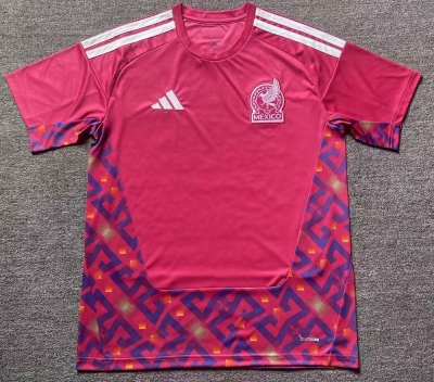 2526 Mexico pink GK S-4XL
